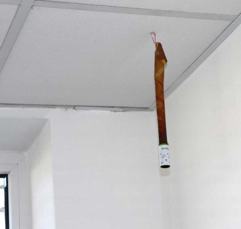 Pułapka przeciwko muchom NaturKraft lep