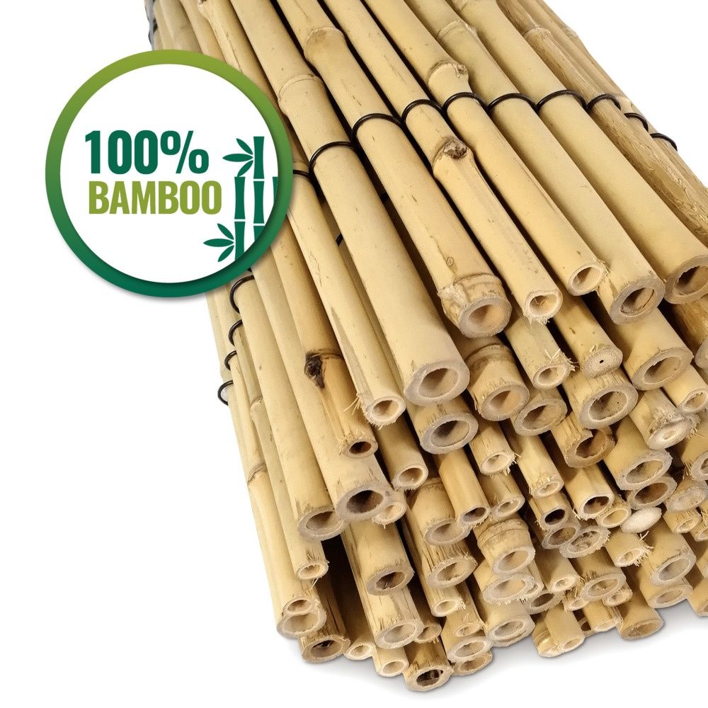 Canas de bambu de todos os tamanhos