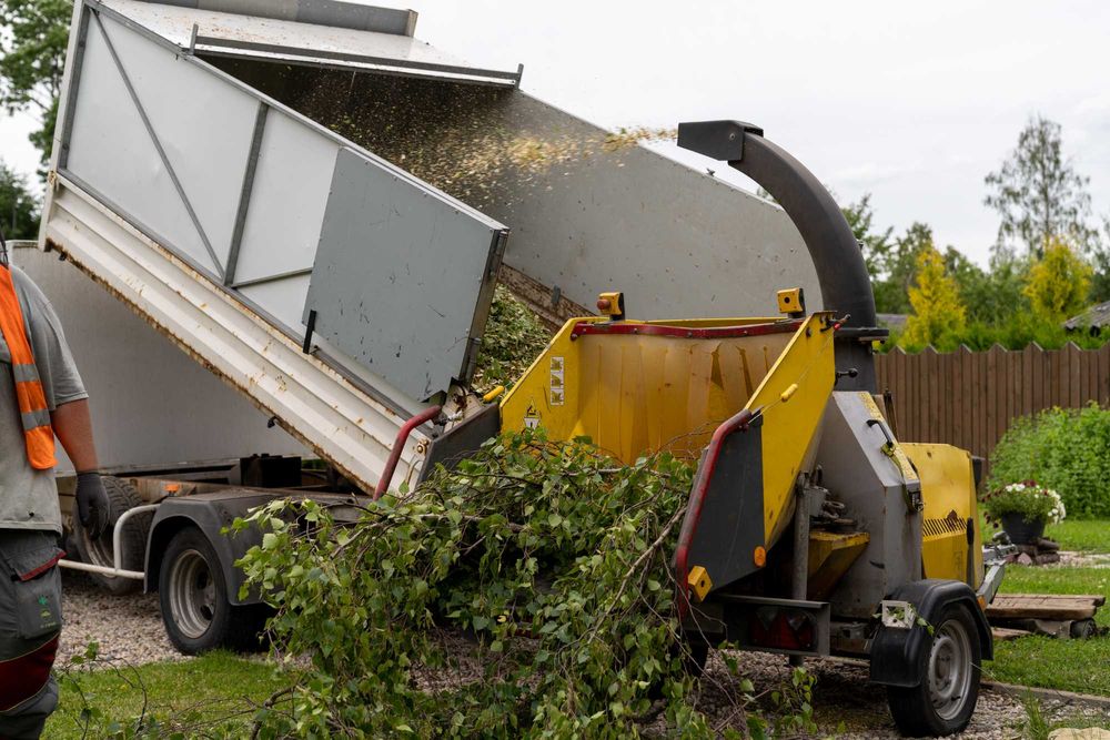 Wycinka drzew pielęgnacja krzewów karczowanie rębak fachowiec podlasie