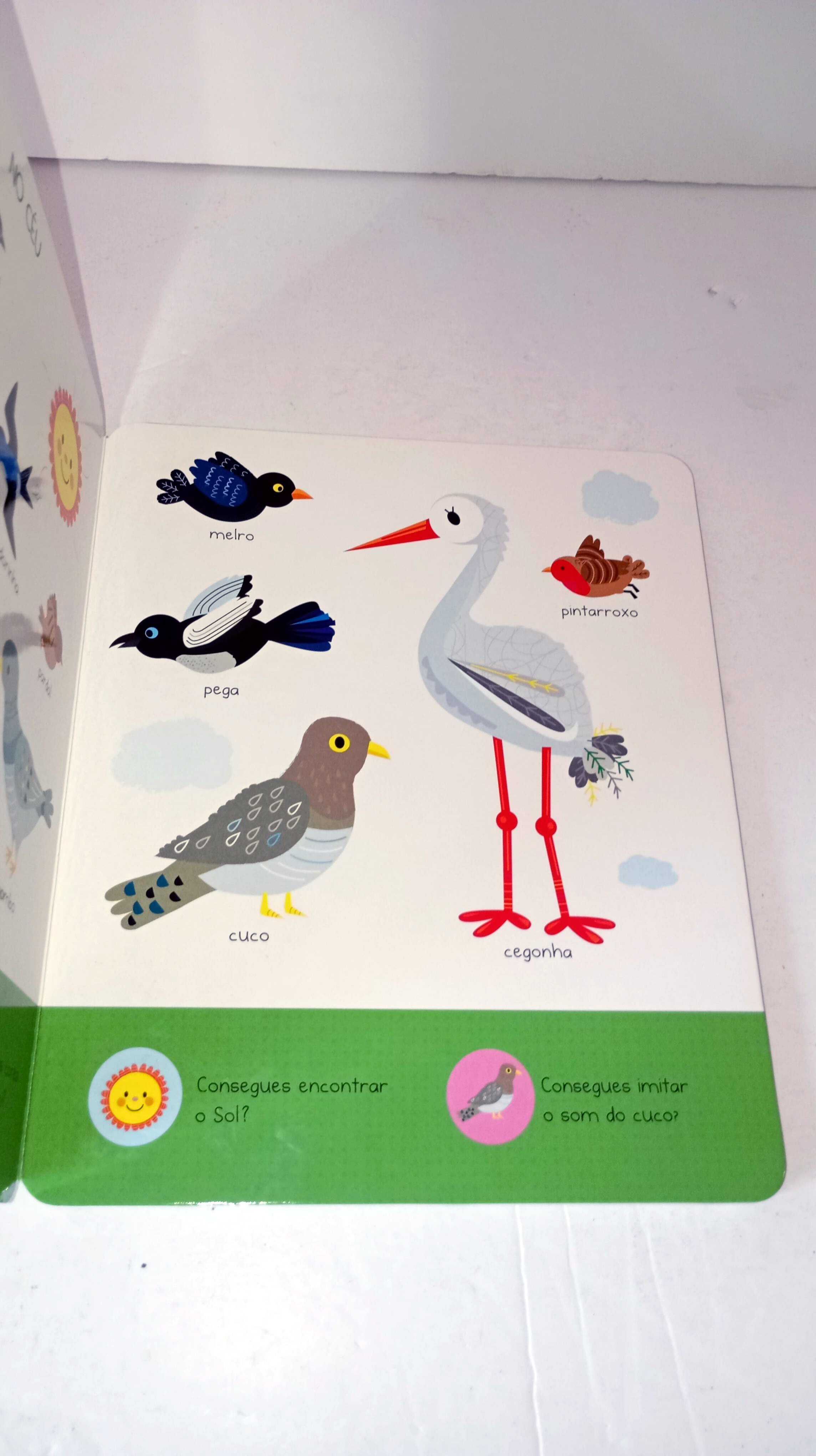 À Descoberta dos Animais