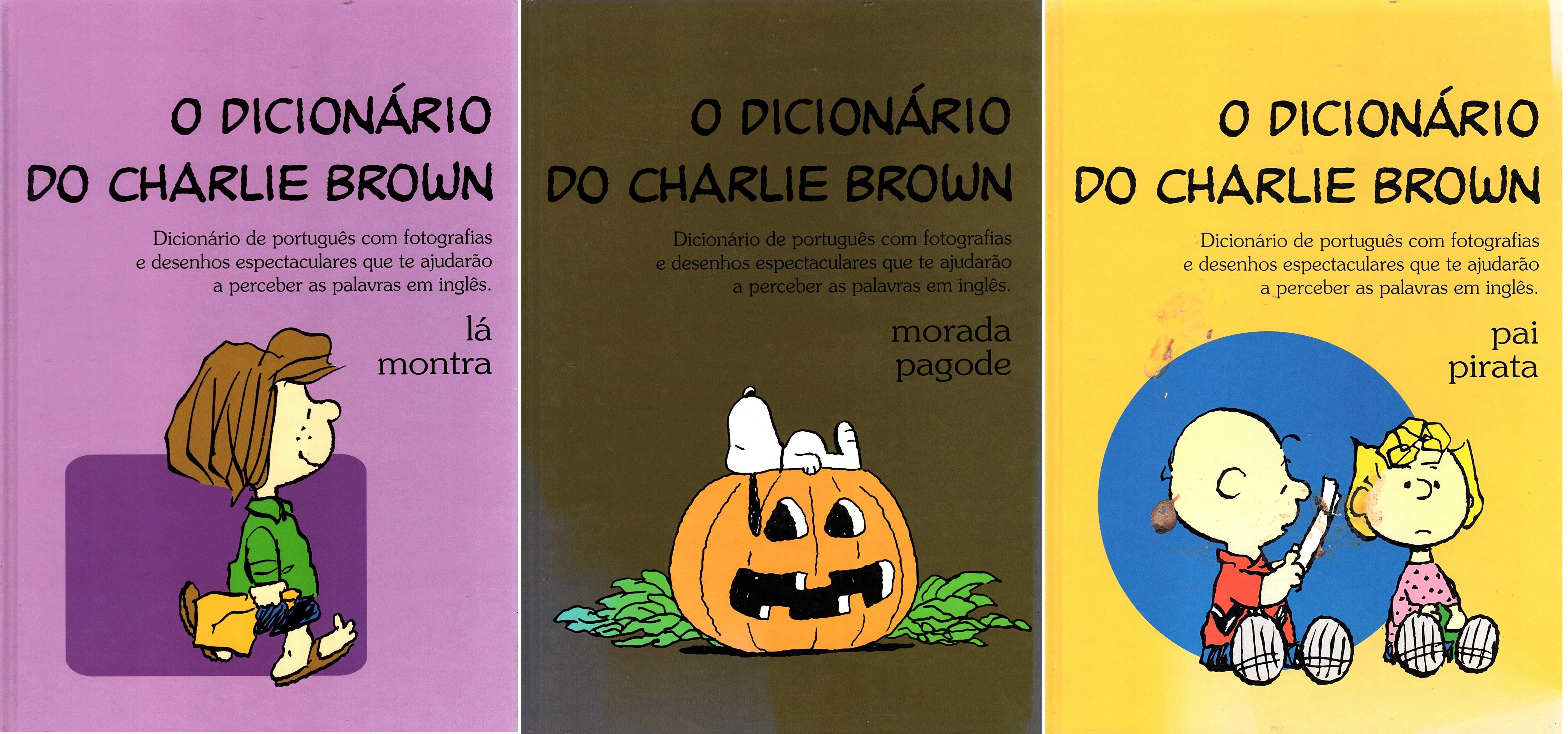 O dicionário do Charlie Brown (13 livros)