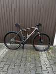 Specialized StumpJumper Carbon Fact stan bdb