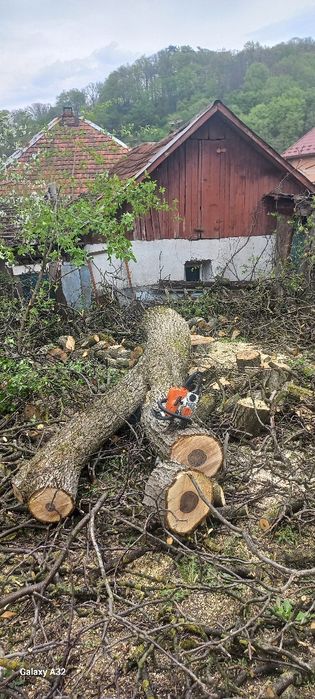 Вирізка дерев та чистка території від чагарнику!