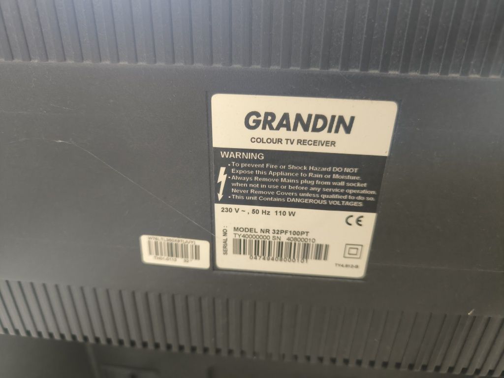 TV grande Grandin
