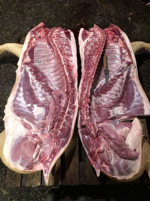 Півтушки м'ясних свиней