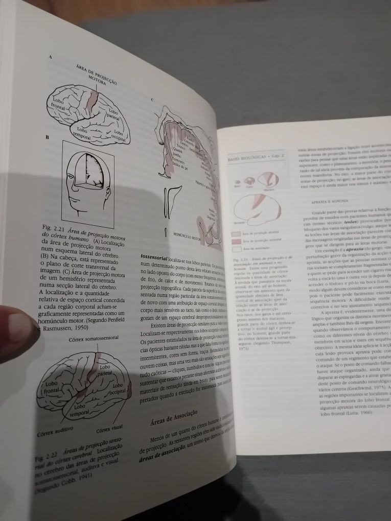 Psicologia - Henry Gleiman