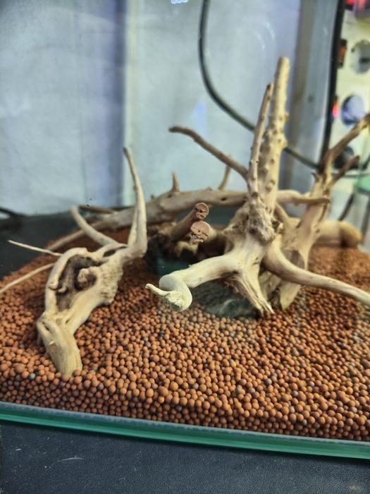 Troncos pequenos  decorativos aquário