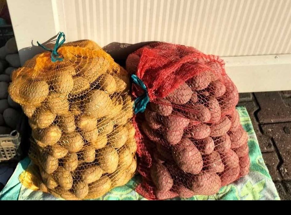 Ziemniaki Soraya, Red Sonia