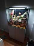 Terrarium 80x40x70cm + szafka biała Opti Set