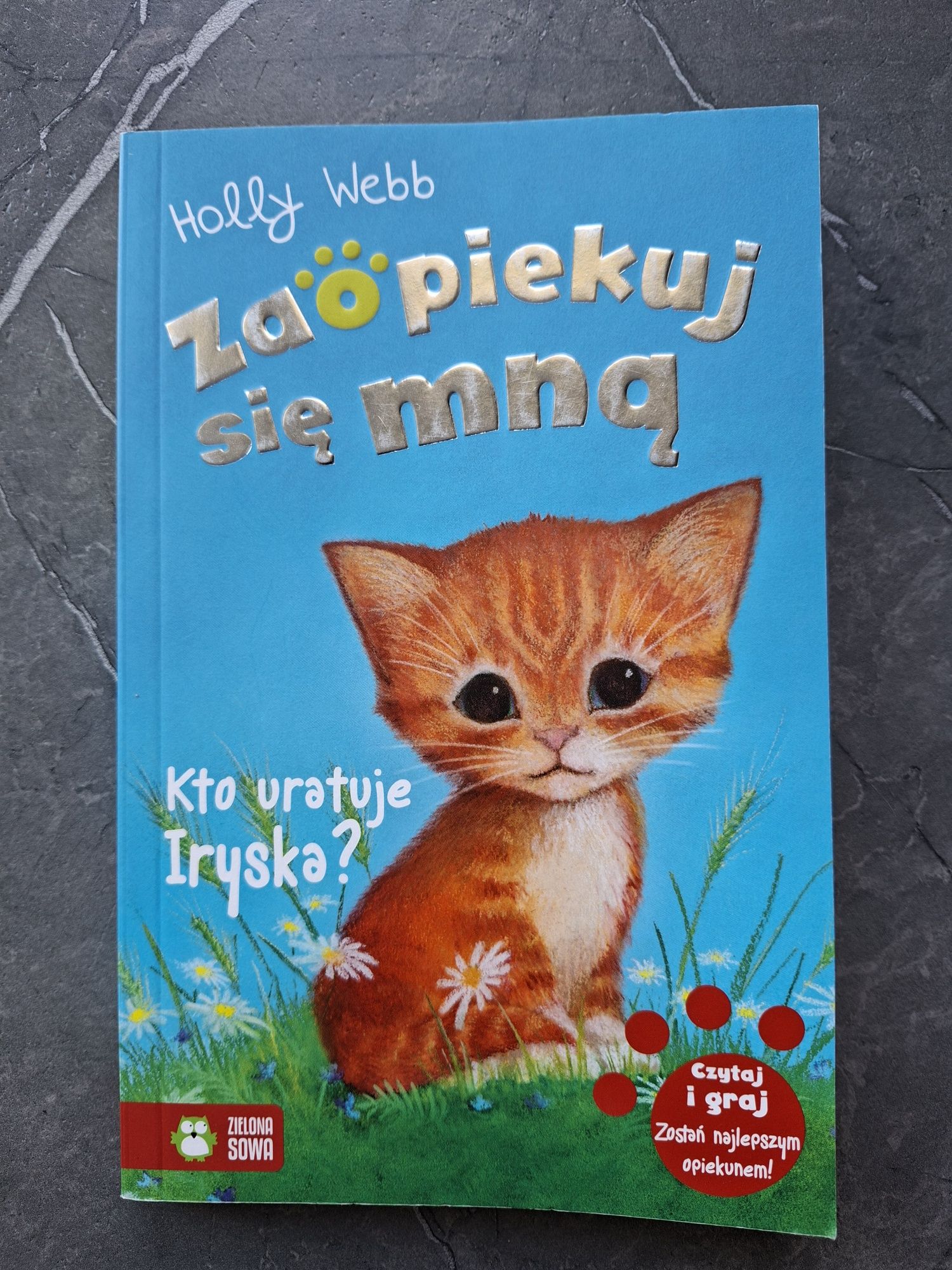 Książka z serii Zaopiekuj się mną Kto uratuje Iryska?