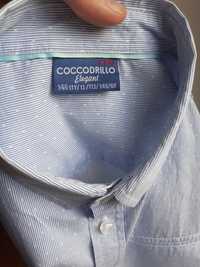 Koszula chłopięca Cocodrillo