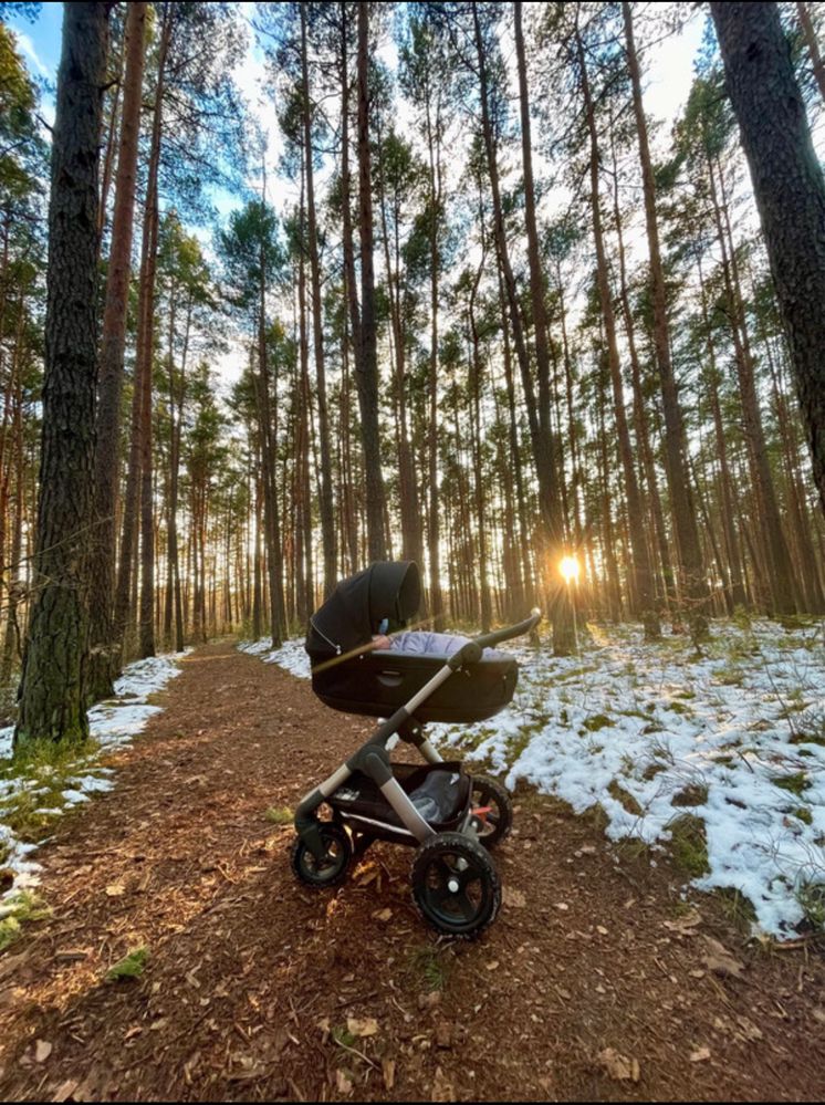 Stokke Trailz 2w1 terenowy wozek