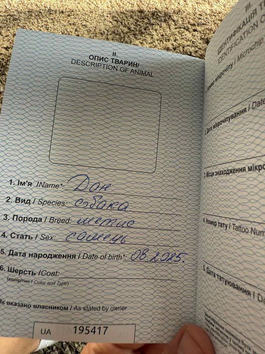 Щенок метис,привитый