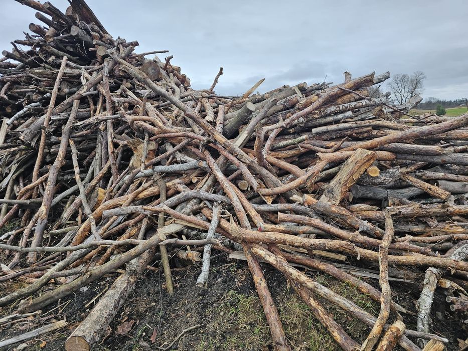 Drewno kominkowe i opałowe sosna i liściaste mieszane