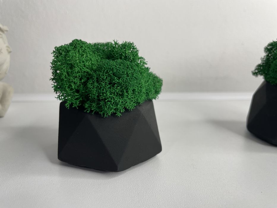 Mini doniczka z mchem, podziekowanie