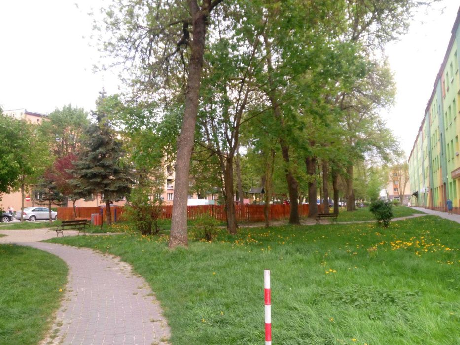 Mieszkanie 43 m Dwa Pokoje Kuchnia Korytarz Łazienka Plus Piwnica