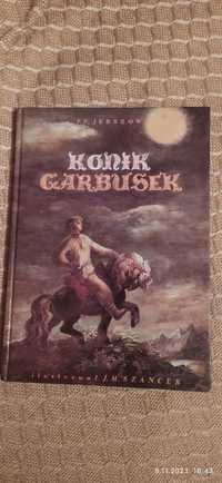 Książka Konik Garbusek