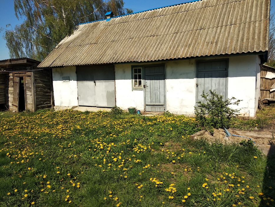 Продам будинок село Великі Гуляки