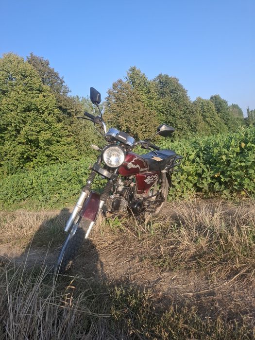 Мустанг-Альфа 125