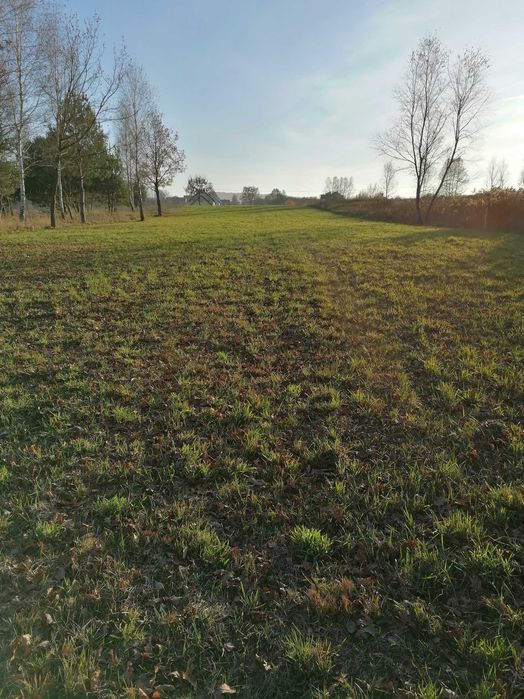 Atrakcyjna działka, 12 km od centrum Kielc