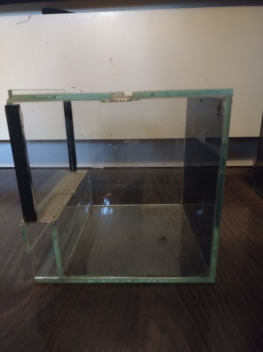Terrarium 15x15x15 dla pająka lub skorpiona