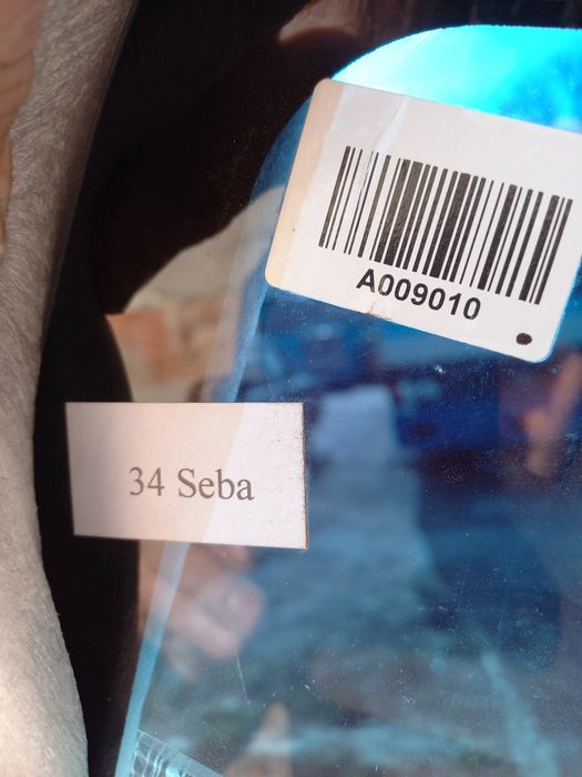 Продам скло лобове honda civic sedan