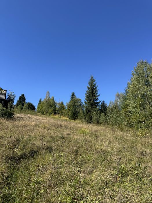 Ділянка в Карпатах Микуличин з гарним краєвидом під забудову 20 сотих