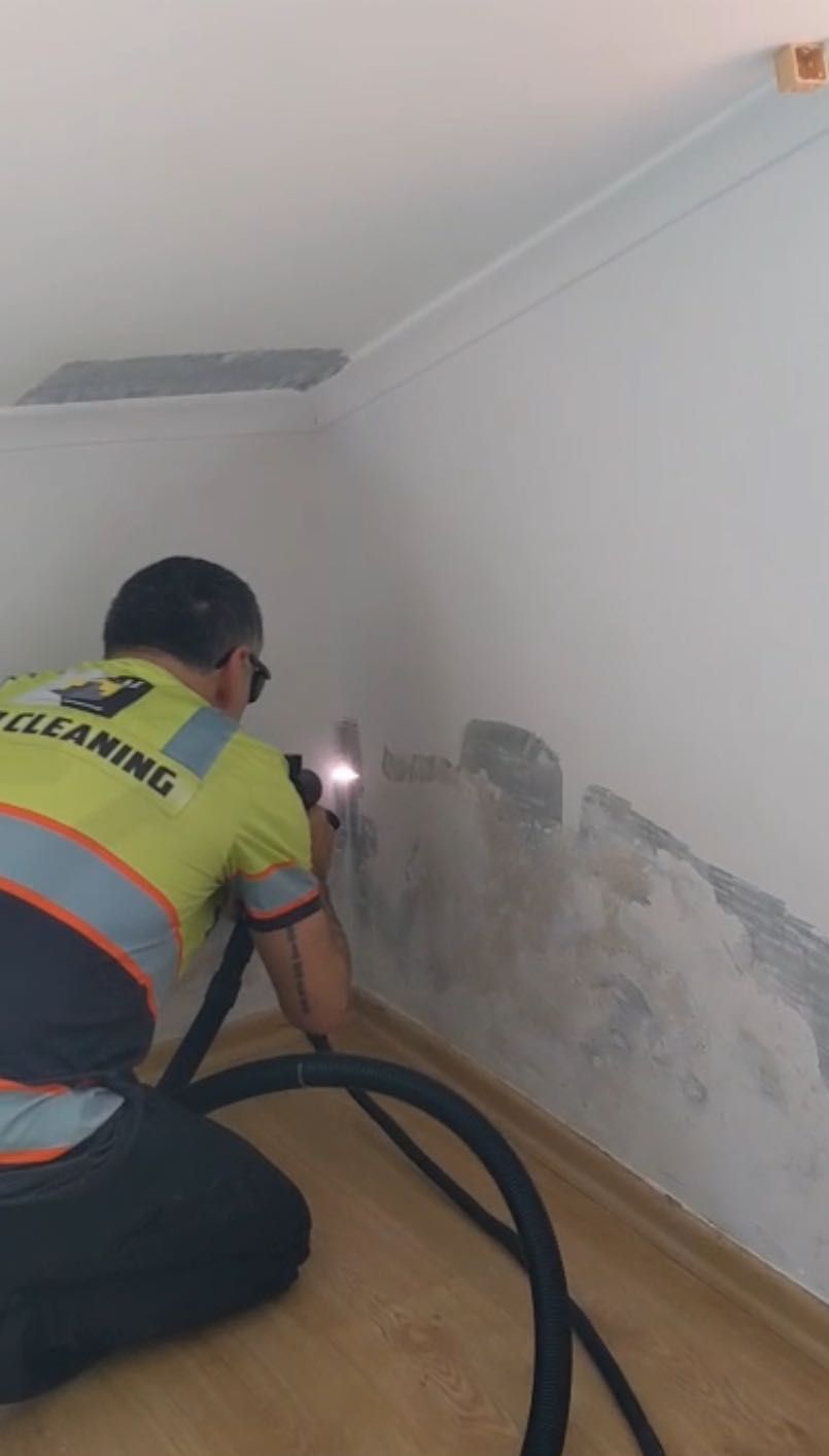 Remoção de bolor utilizando tecnologia laser