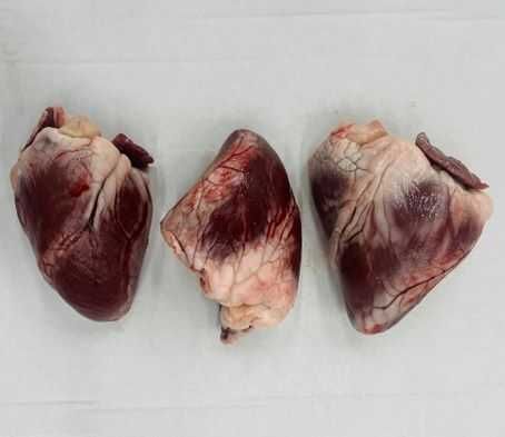 Mrożoone serca i komplet podrobow baranie oraz jagniece. IFS BRC Halal