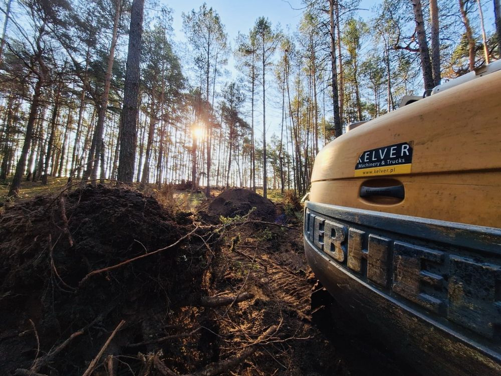 Budowa domów szkieletowych – wolne terminy na 2025!