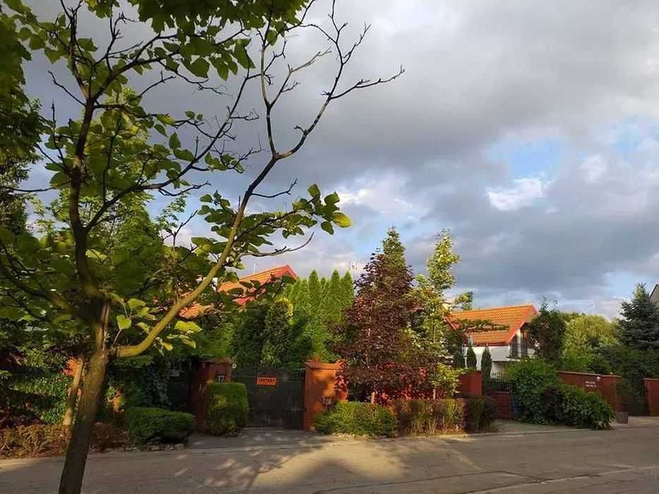 Pokój jednoosobowy od stycznia/Single room for a female from January
