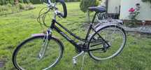 Rower Genesis Xenon