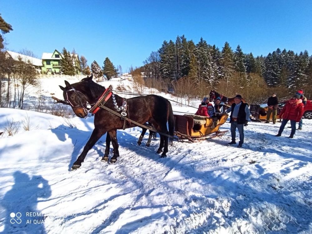 Domek do wynajecia Zwolnil sie termin od 16.06 Leśna Zagroda Jacuzzi