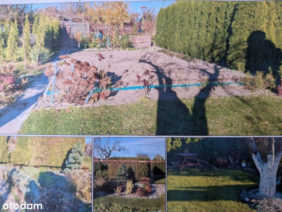 Sprzedam udział w ogródku działkowym