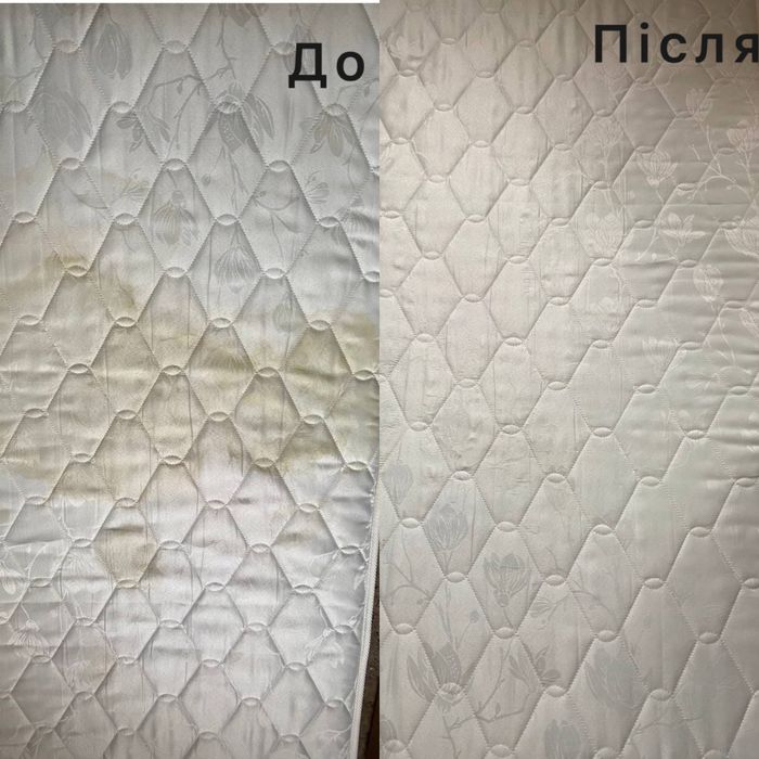 Оренда миючого пилососу та пароочисника на добу