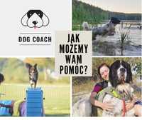 Dog Coach Szkolenie psów trener behawiorysta wyprowadzanie Wejherowo