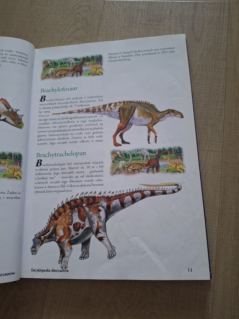 Encyklopedia Dinozaurów