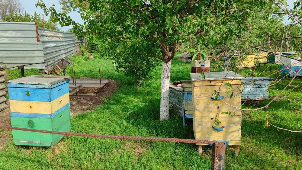 Вулики різні б/у