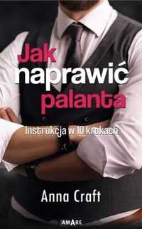 Jak naprawić palanta - Anna Craft