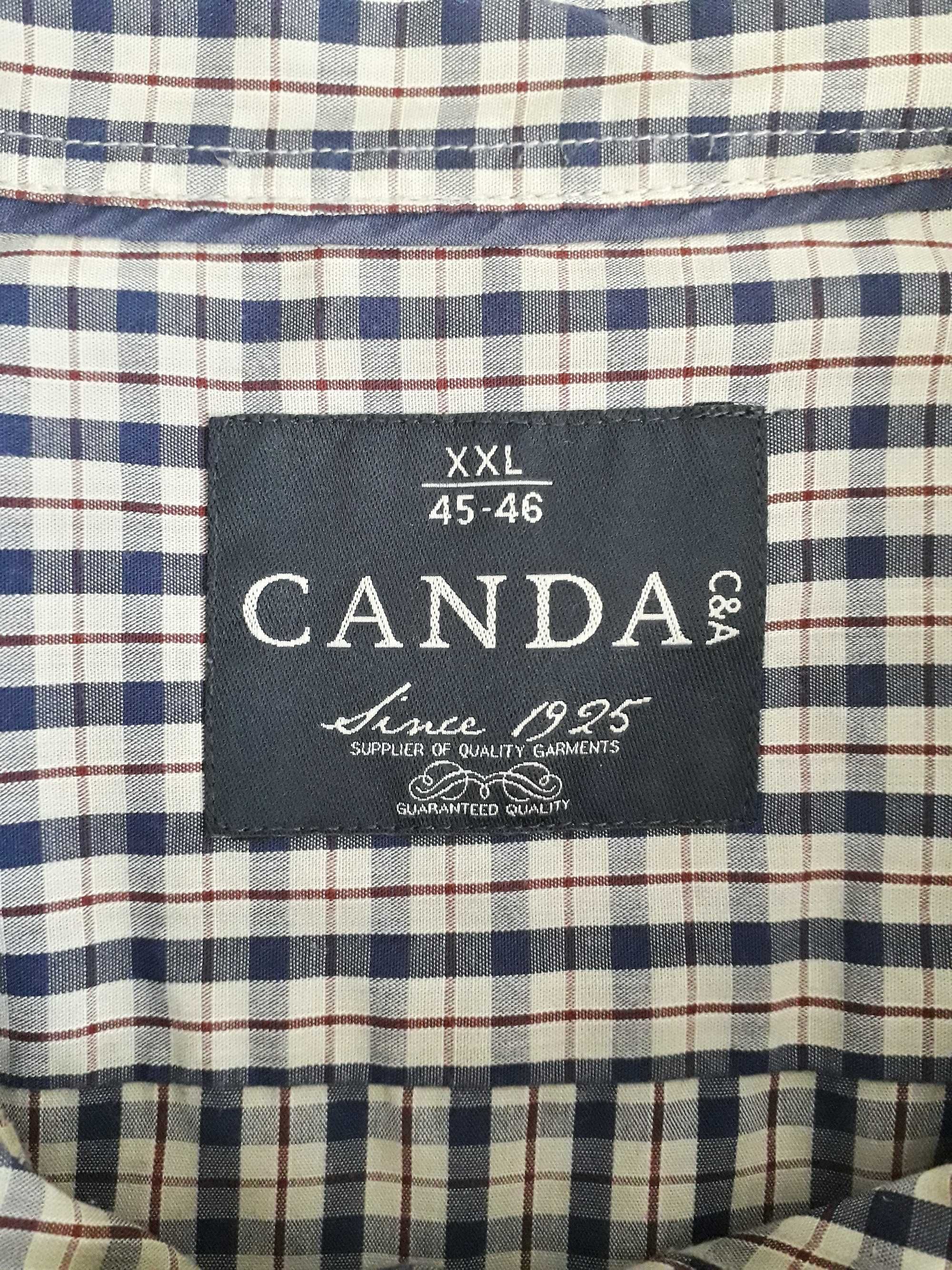 Camisa aos quadrados em tons de azul, creme e bordeaux (tam. XXL)