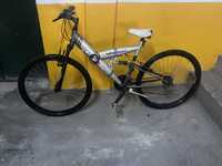 Bicicleta Roda 19