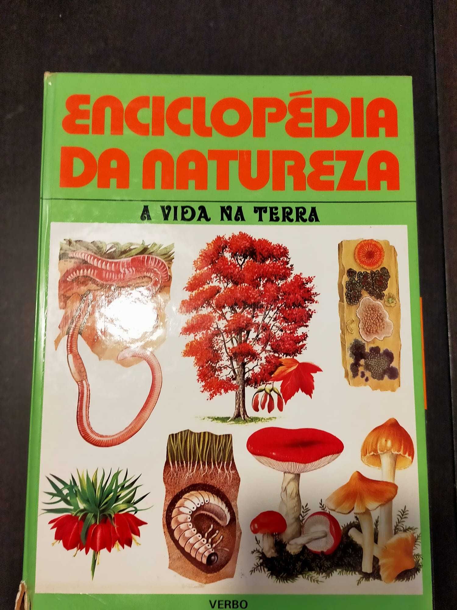 Vários livros e enciclopedias