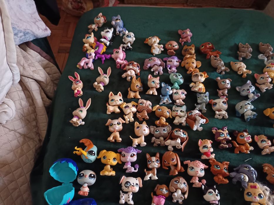 Little pet shop está na montra