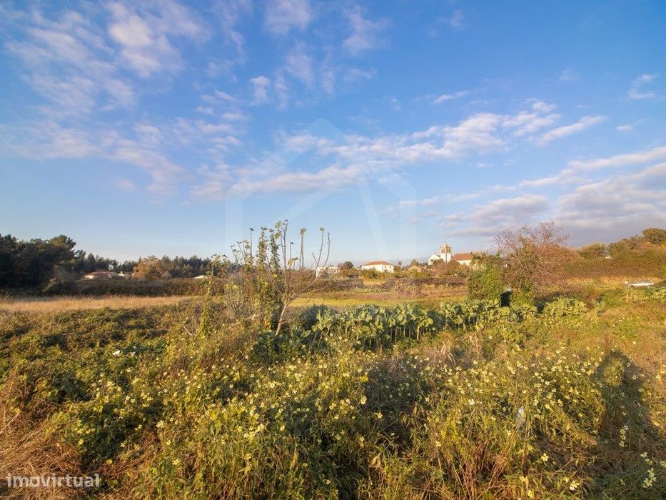 Terreno Rústico - Urbanizável