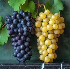 Винный сухой "уксус"