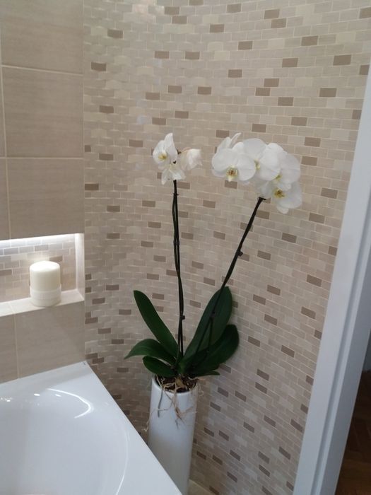 Układanie płytek, prace hydrauliczne , remont łazienek .