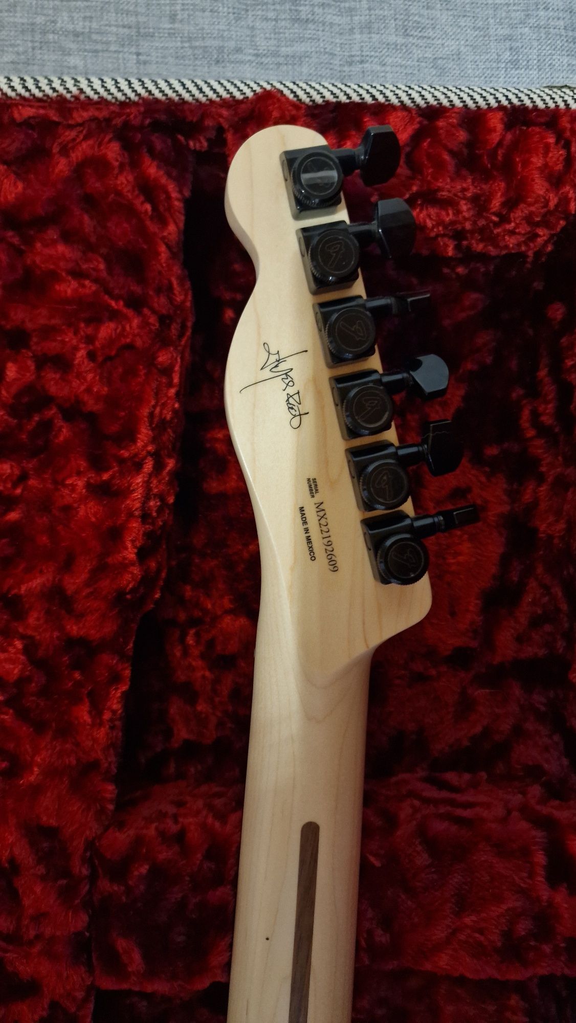 Fender Telecaster Jim Root Signature