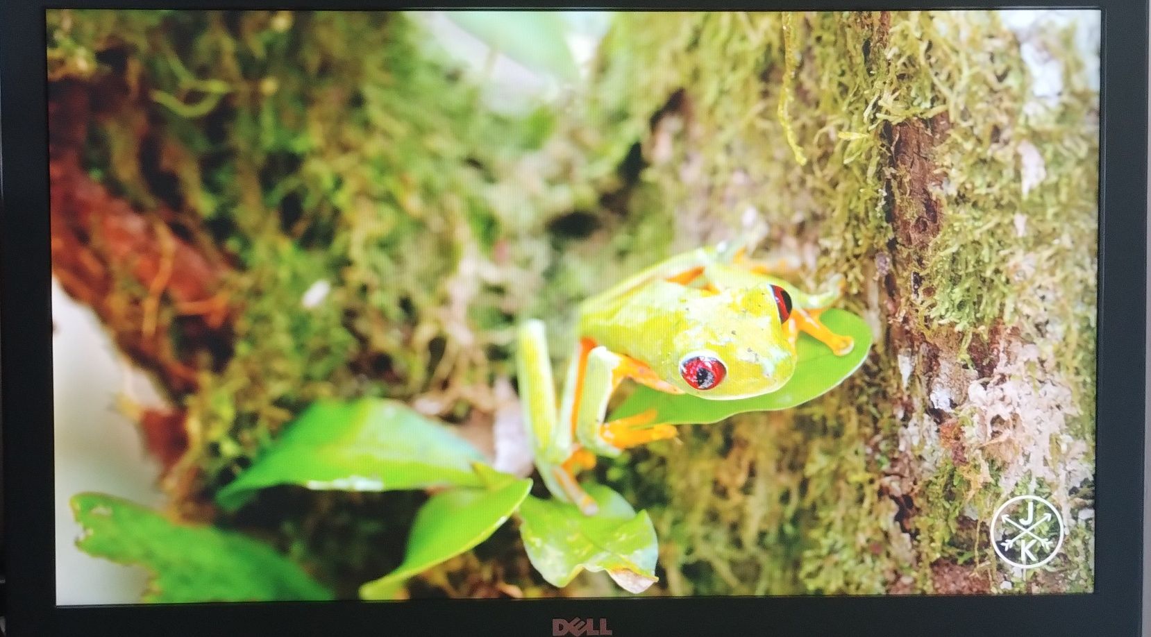 Komputer Dell 7450 AIO