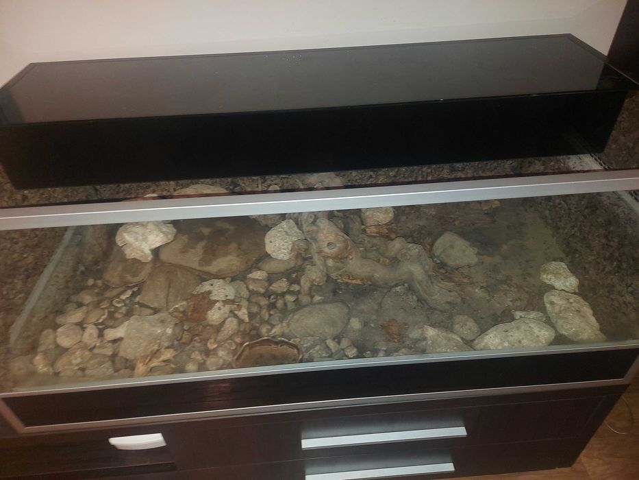 Piękne terrarium 120x 58 cm oswietlenie