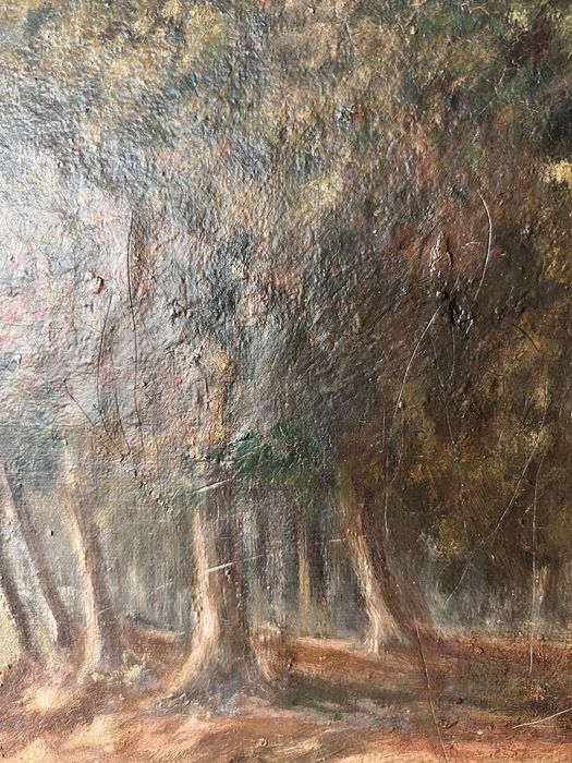 Stary duży obraz olejny antyk pejzaż drzewa las 1950 vintage zlota